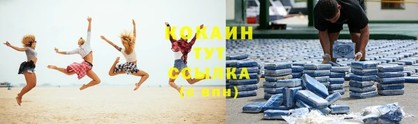 стаф Богородск