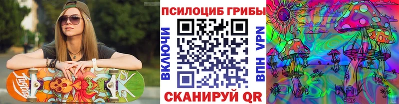 ОМГ ОМГ   Мурманск  Галлюциногенные грибы Psilocybe  наркотики 